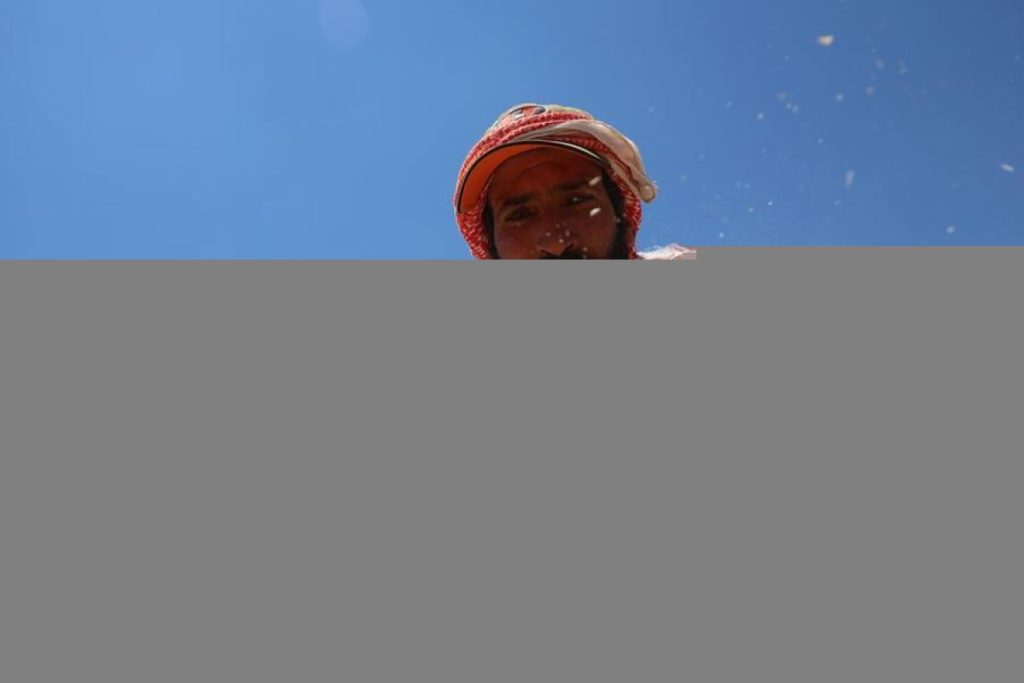 CjkinzN000008_20261003_CBMFN0A001