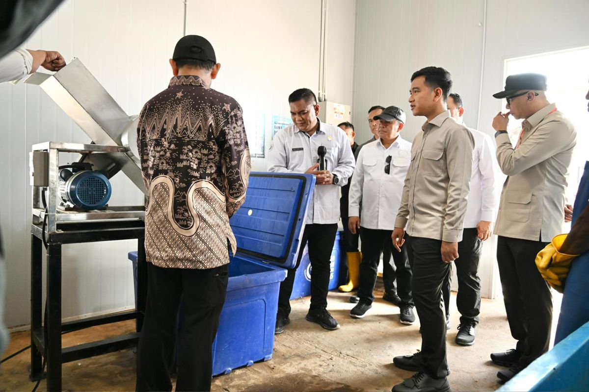 Gibran tinjau fasilitas dan kesiapan Kampung Nelayan di Lampung Timur