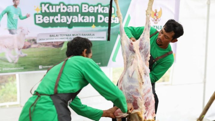 Latest Program: Kurban Baznas berdayakan 2.089 peternak mustahik di 15 provinsi