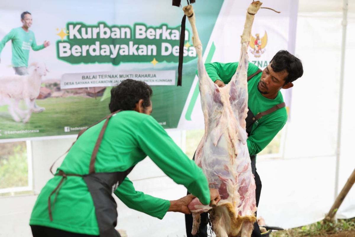 Kurban Baznas berdayakan 2.089 peternak mustahik di 15 provinsi