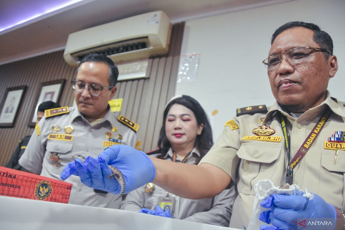 Barantin gagalkan penyelundupan 10 ekor satwa dari Thailand