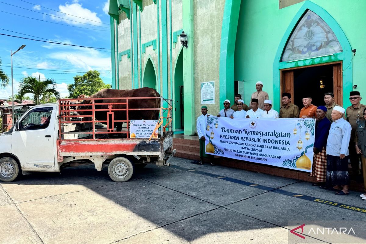 Bupati Bulungan serahkan hewan kurban Prabowo Subianto ke masjid
