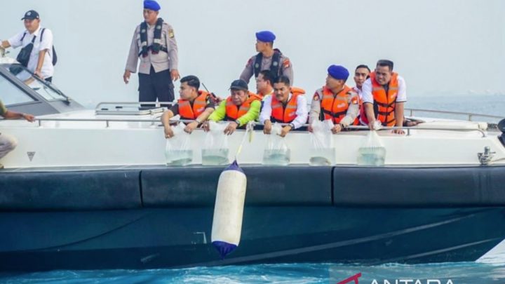 Polisi ungkap penangkapan ratusan ikan Napoleon di Kepulauan Seribu