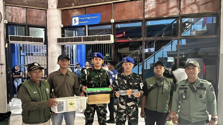 TNI AL dan BBKSDA gagalkan penyelundupan delapan satwa di Sorong