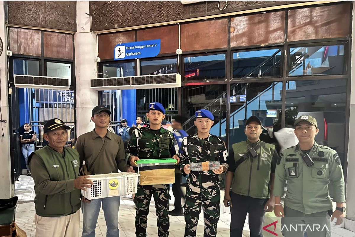 TNI AL dan BBKSDA gagalkan penyelundupan delapan satwa di Sorong