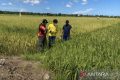 Main Agenda: Bermalam di lumbung harapan demi menjaga senyum petani