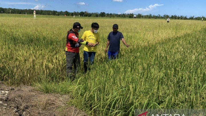 Main Agenda: Bermalam di lumbung harapan demi menjaga senyum petani