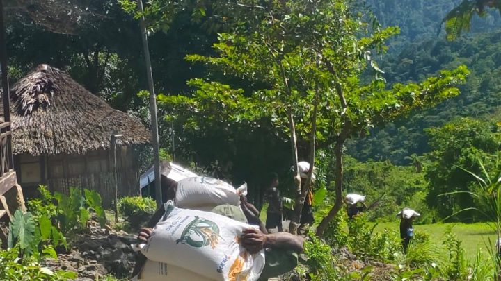 New Policy: Upaya Bulog memastikan ketersediaan pangan hingga Pegunungan Bintang