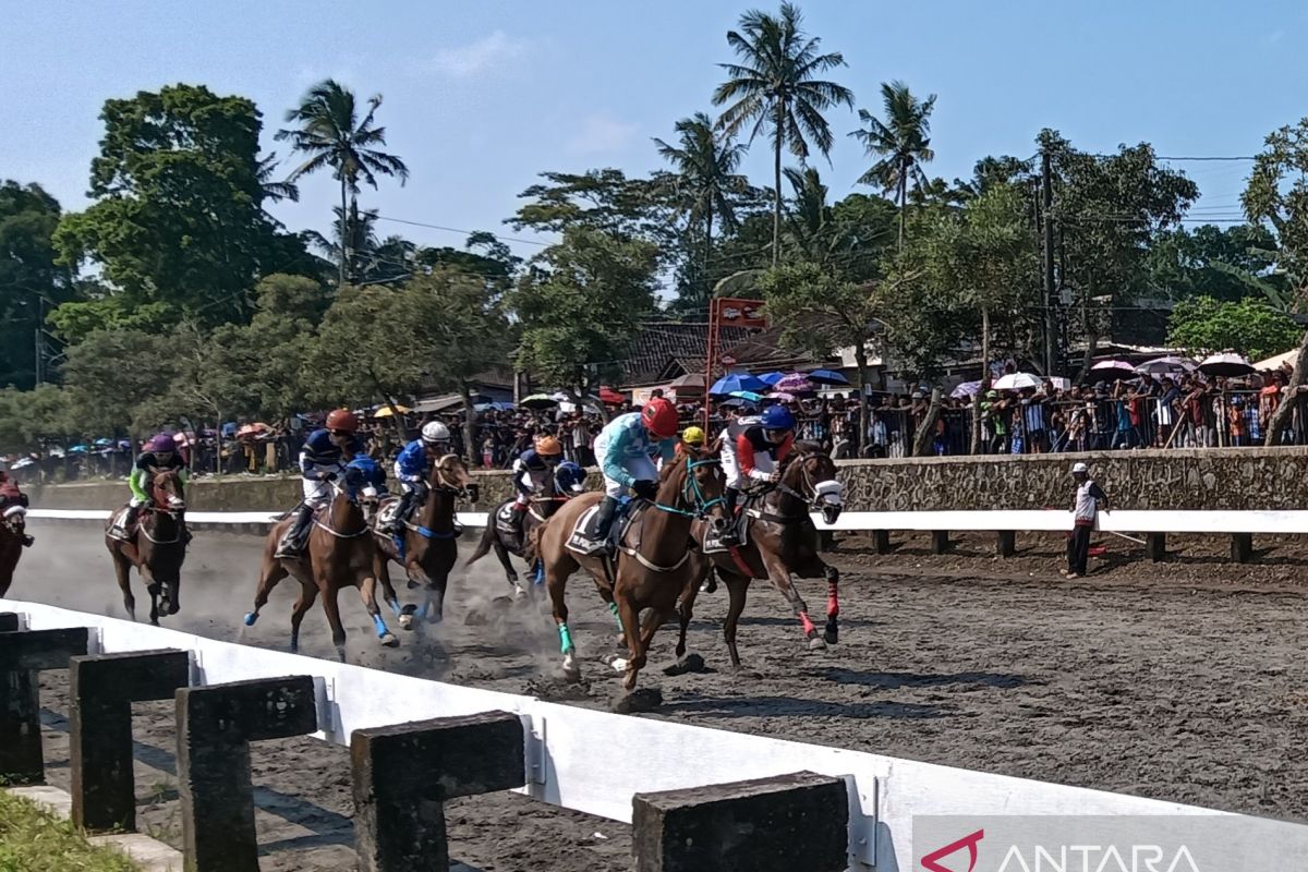 147 ekor kuda dari 12 daerah ikuti IHR 2026 di Semarang