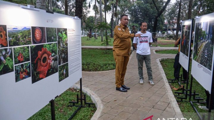 Solution For: Bupati Rudy Susmanto bangga Bogor jadi tuan rumah APFI 2026