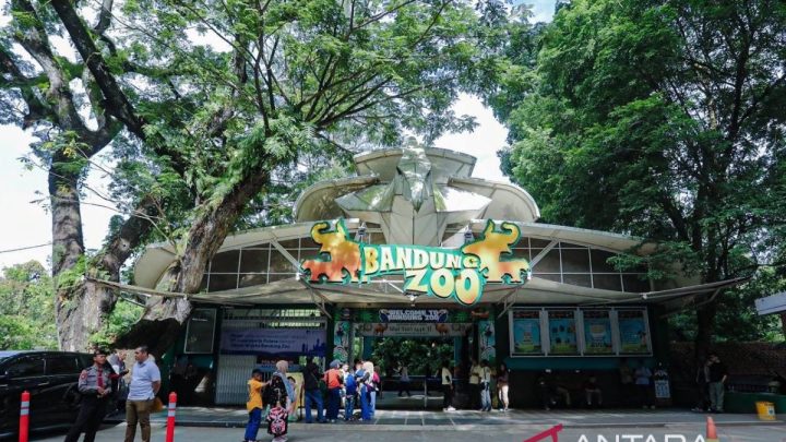Facing Challenges: Pemkot Bandung lelang ulang pengelolaan Bandung Zoo