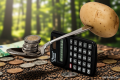 Frugal living vs flexing, “perang” gaya hidup di media sosial