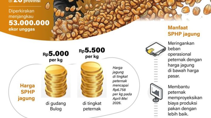 New Policy: SPHP jagung untuk 5.000 peternak