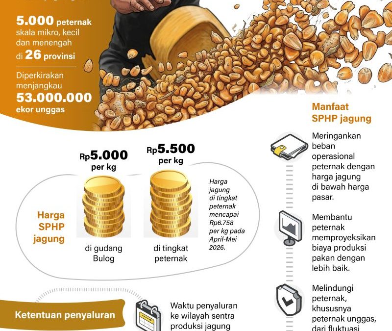20260508-SPHP-jagung-untuk-5.000-peternak