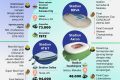 What You Need to Know: Stadion Piala Dunia 2026 wilayah Tengah
