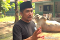 Irfan Hakim hadirkan sapi lokal hingga Belgian Blue untuk kurban