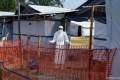 WHO: Lebih 900 kasus suspek teridentifikasi penanganan ebola di Kongo