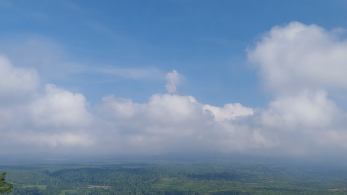 9211db39-b593-4c4c-a948-b399e9542e6c-0