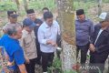 Wamentrans siap perjuangkan pupuk subsidi untuk petani karet