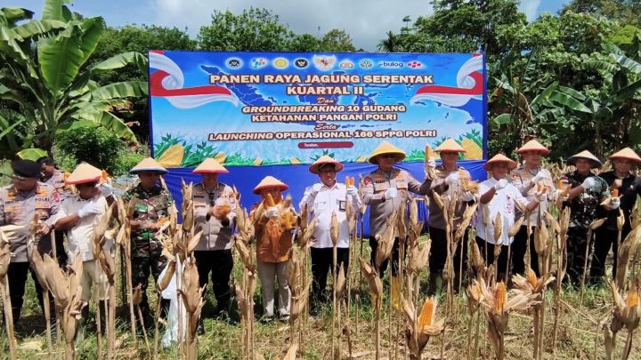 Special Plan: Polda Kaltara fokus benahi infrastruktur jaga stok jagung perbatasan