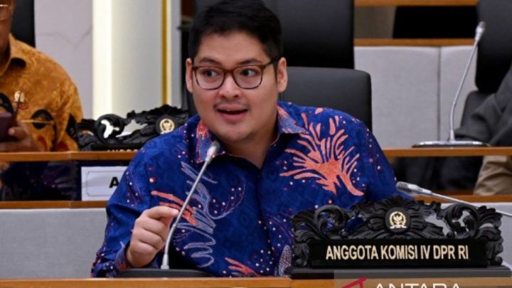 DPR dorong mitigasi nasional antisipasi masuknya hantavirus Andes