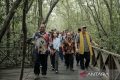 Special Plan: Dana hibah program M4CR untuk kembangkan ekowisata mangrove Penajam