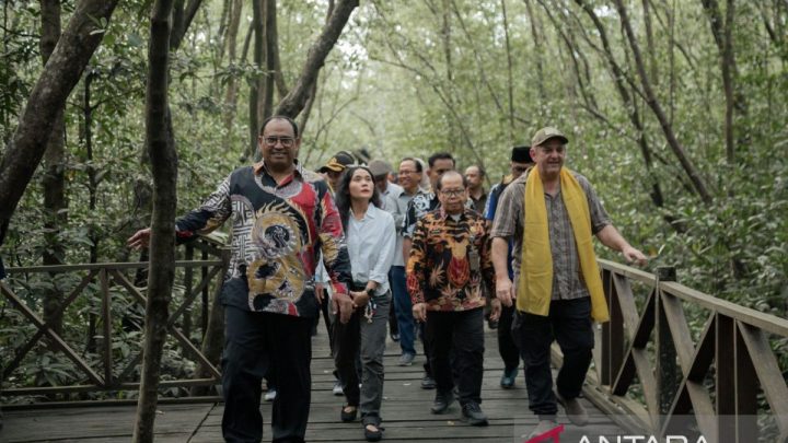 Special Plan: Dana hibah program M4CR untuk kembangkan ekowisata mangrove Penajam