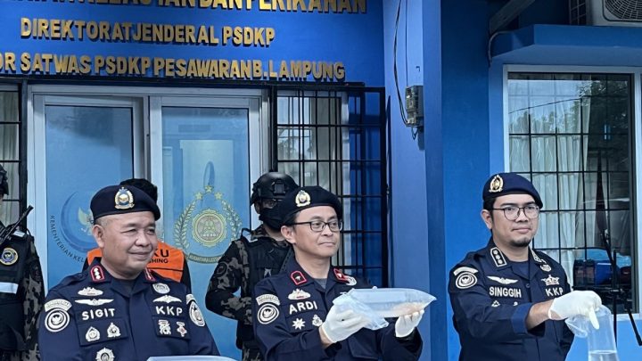 KKP: Benih lobster ilegal yang diamankan di Lampung senilai Rp4 miliar