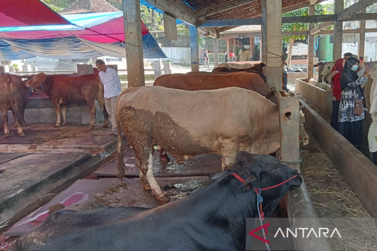 Pakar UGM: Pelaksanaan kurban harus kedepankan prinsip halal dan aman