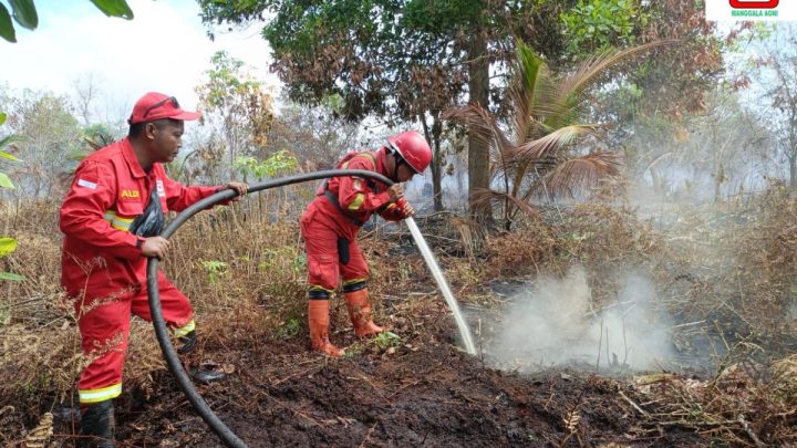 Manggala Agni berjibaku padamkan karhutla di Pelalawan Riau