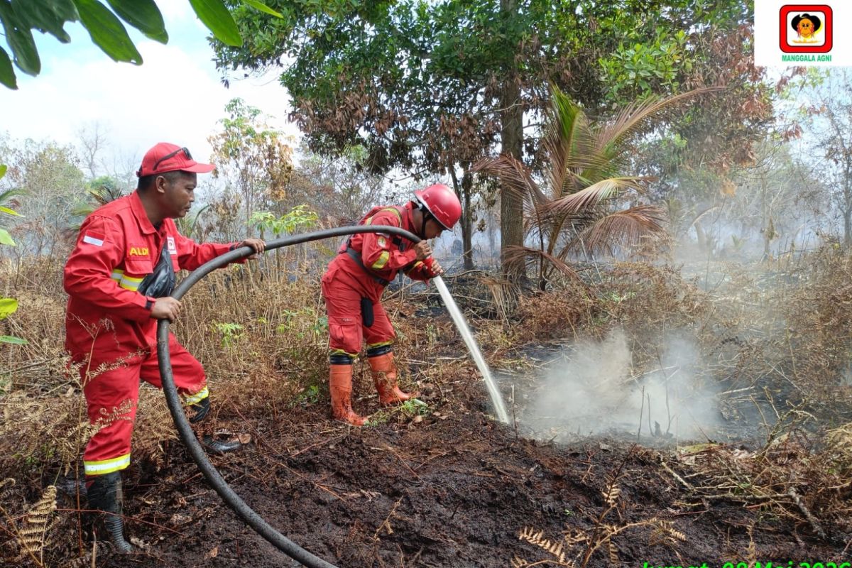 Manggala Agni berjibaku padamkan karhutla di Pelalawan Riau