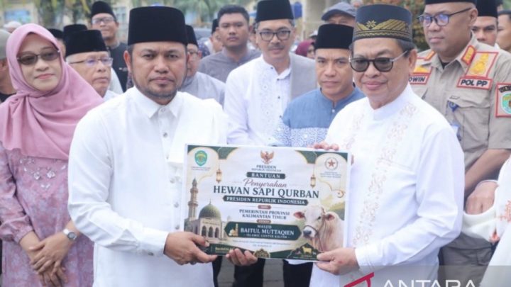 Gubernur Kaltim serahkan sapi kurban Presiden RI di Islamic Center