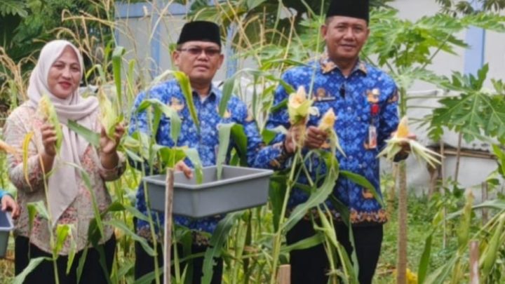 Kelurahan Pulau Untung Jawa panen jagung di momentum Harkitnas