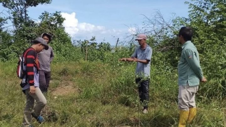 Key Discussion: Kalsel tuntas tanam 148,5 ha FOLU Net Sink Norwegia di dua KTH