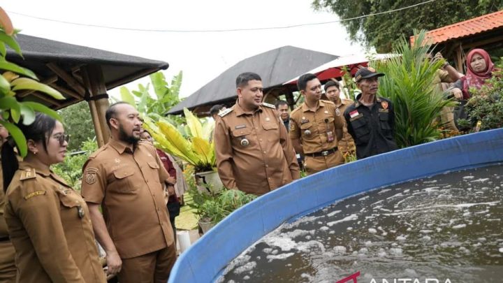 Key Strategy: Pemkot Makassar gencarkan pertanian perkotaan guna pasok kebutuhan MBG
