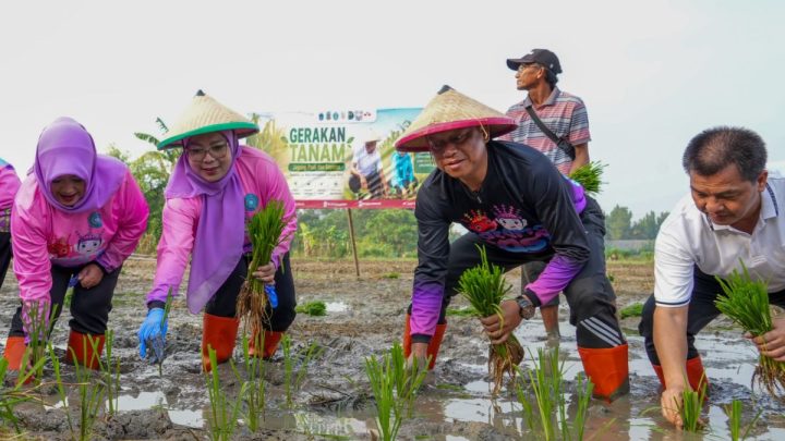 Key Strategy: Cakung jadi cakupan lahan terbesar gerakan tanam di Jakarta Timur