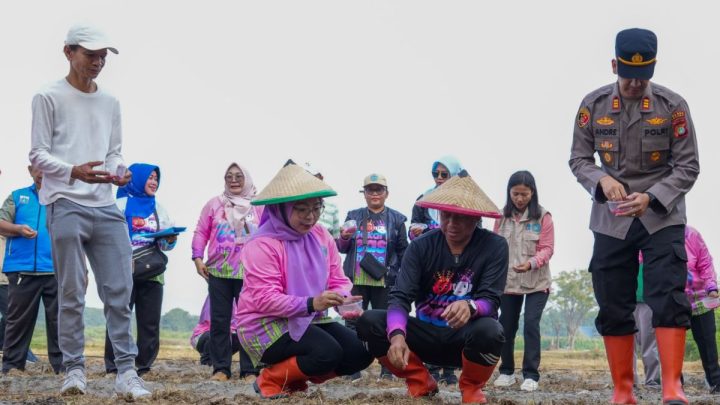 Pemkot Jaktim targetkan panen 20 ton padi dari gerakan tanam serentak
