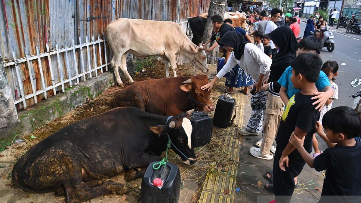 Pelarangan-Penjualan-Hewan-Kurban-Di-Trotoar-Jakarta-150526-IES-6