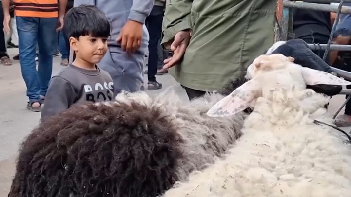 Tiga tahun tanpa kurban – Gaza kehilangan sukacita Idul Adha