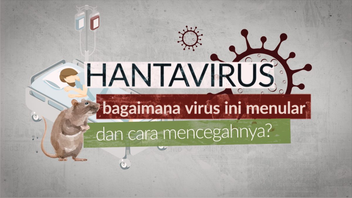 Thumbnail-Hantavirus-Horisontal.jpg