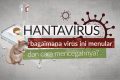 Kenali Hantavirus dan panduan praktis mencegah penularannya