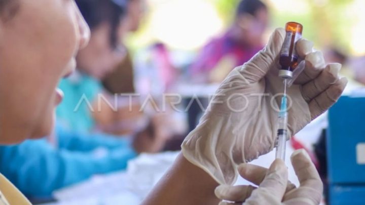 Meeting Results: IDAI nilai kasus campak-difteri lebih darurat dibanding hantavirus