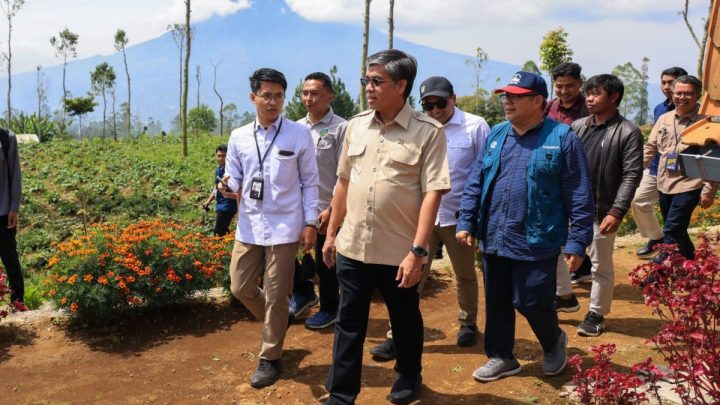 Latest Program: Menaker: Pelatihan agroforestri kembangkan usaha berbasis potensi desa