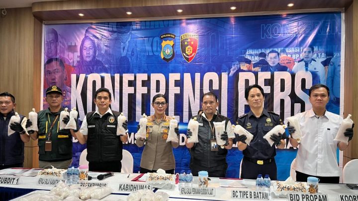 100 ribu benih lobster diamankan di Batam – kerugian negara capai Rp10 miliar