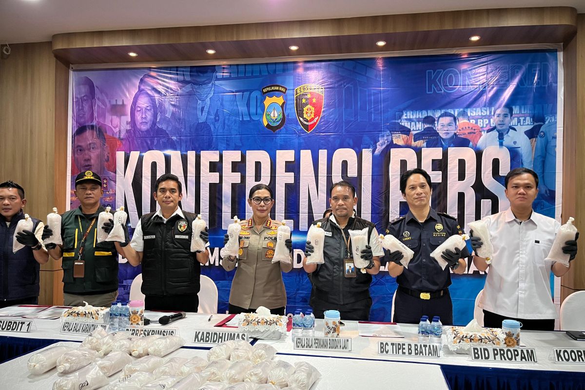100 ribu benih lobster diamankan di Batam – kerugian negara capai Rp10 miliar