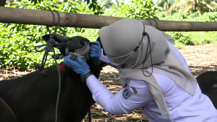 Jelang Idul Adha – warga Jakbar diimbau terapkan eco kurban