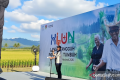 Special Plan: HLUN 2026, Kemensos dorong NTT jadi provinsi ramah lansia