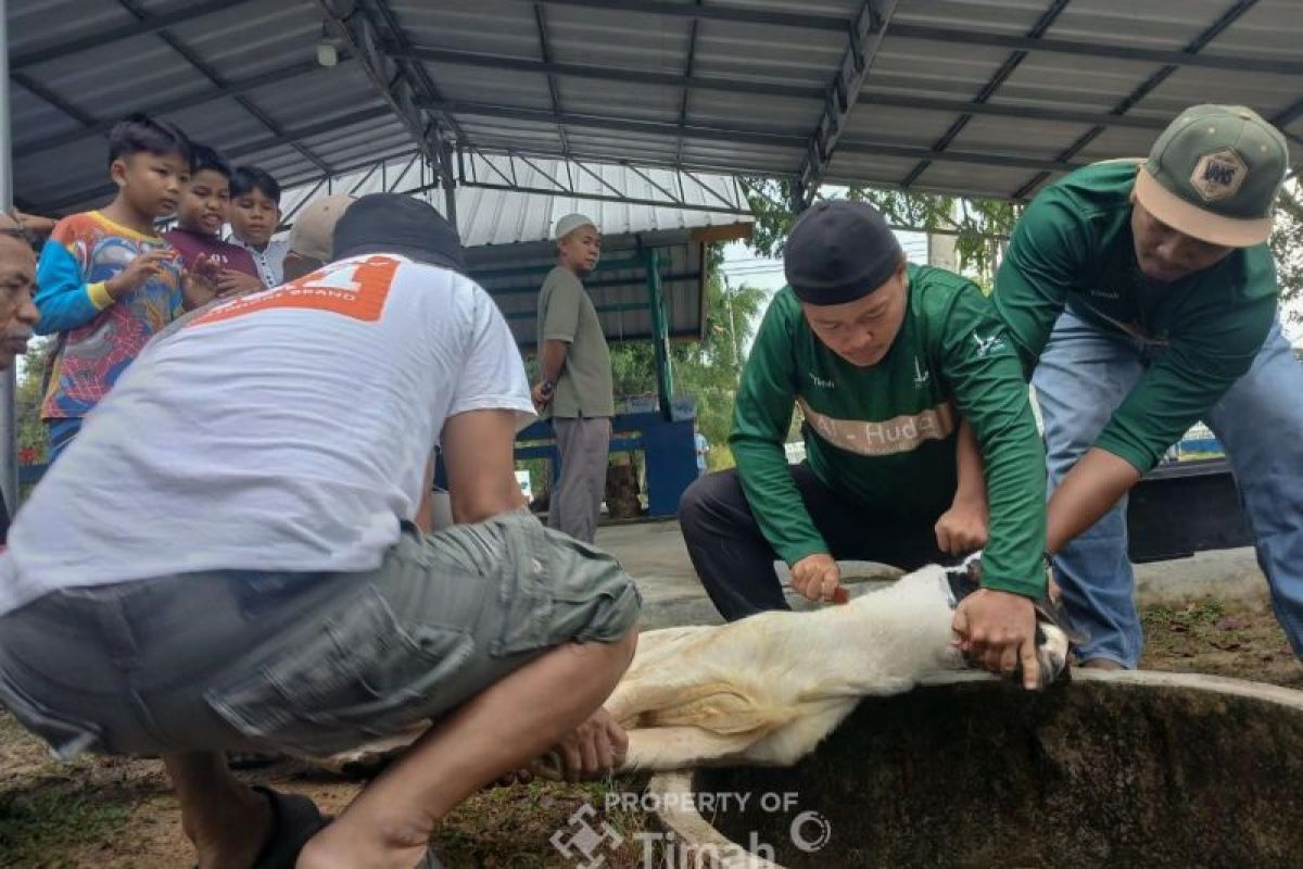 Wajah agama, tradisi, dan kurban di Indonesia