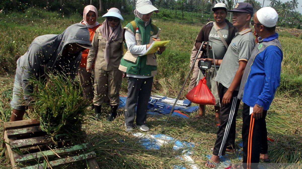 pendampingan-petani-untuk-antisipasi-dampak-el-nino-2784339