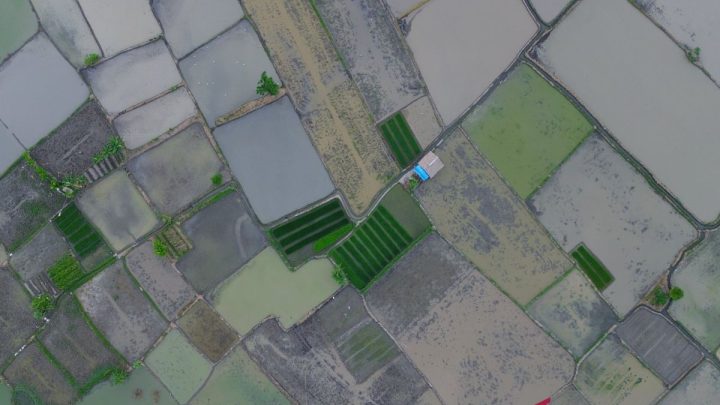 New Policy: Wamentan: Cetak sawah investasi jangka panjang pangan